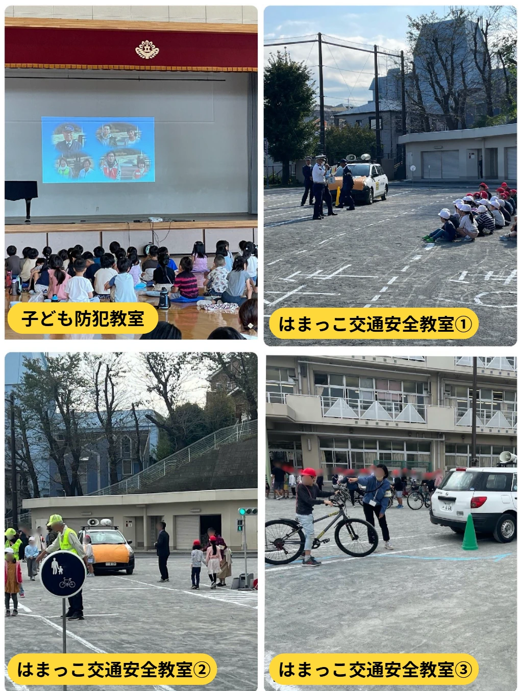 活動のようす・案内資料