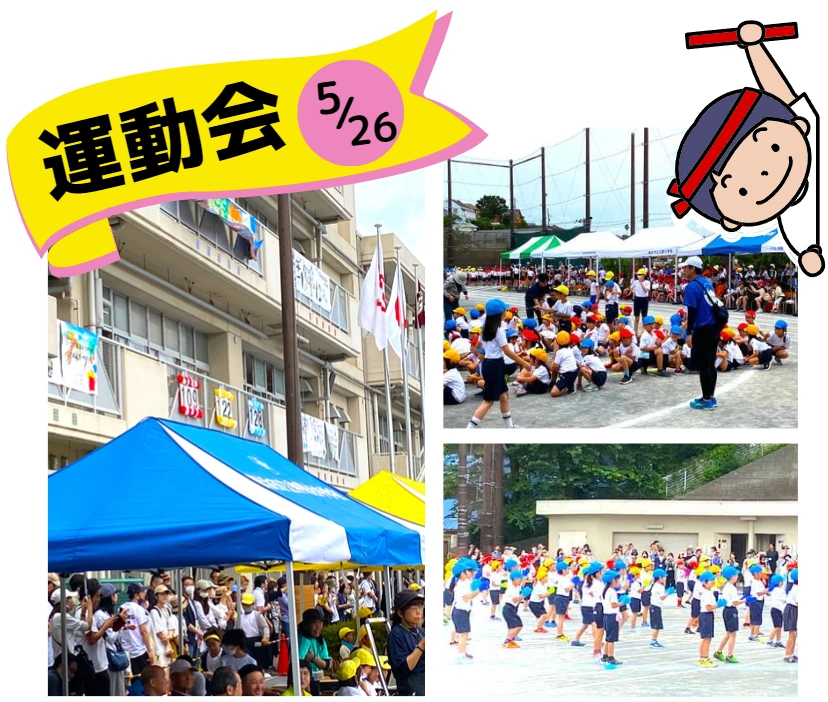 活動のようす・案内資料
