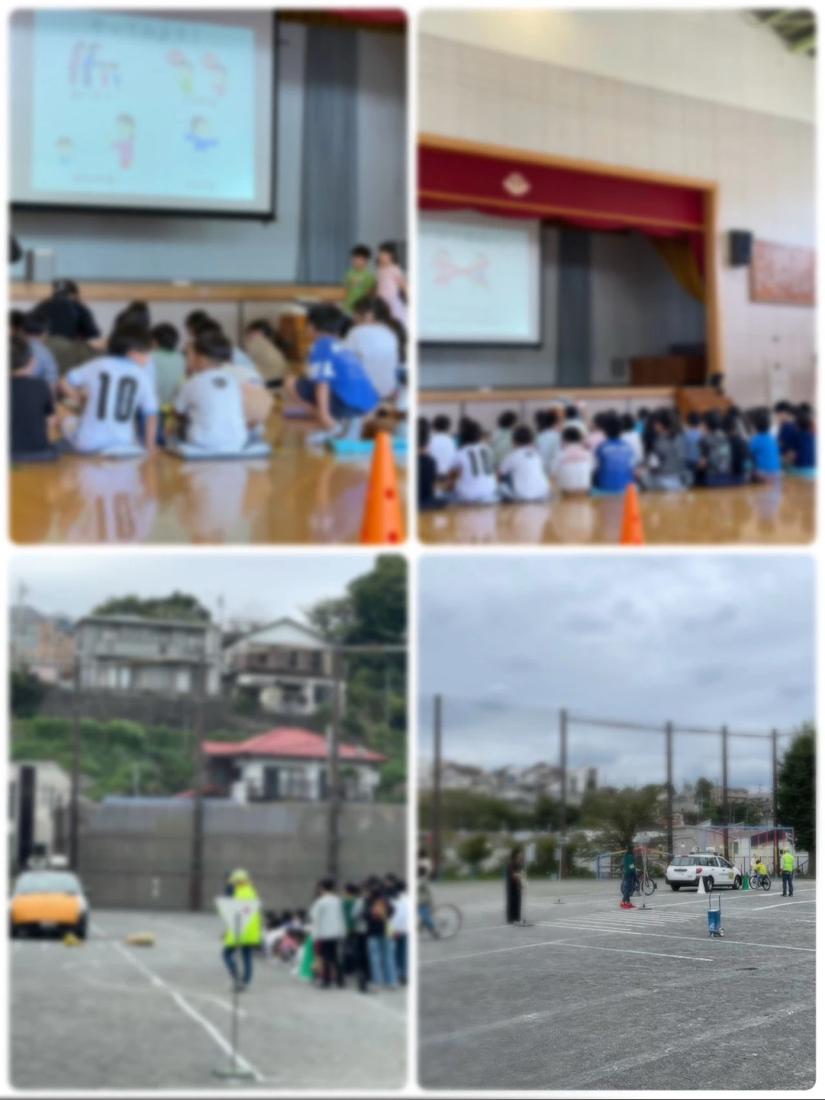 活動のようす・案内資料